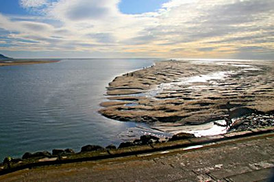 Barmouth Harbour (5)