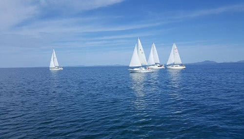 Greensleeves 2018 (2)