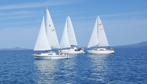 Greensleeves 2018 (3)